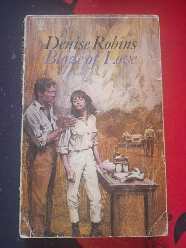 Denise Robins - Blaze of love