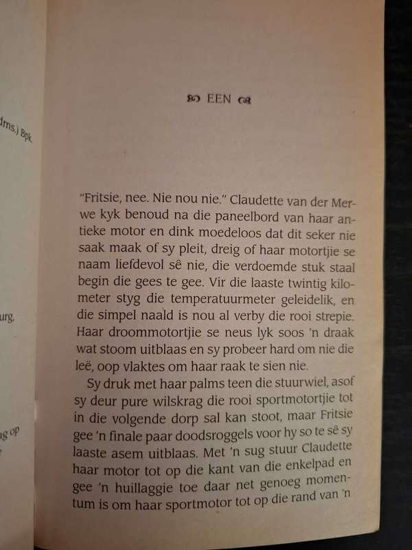 Onverskrokke rebel deur Linelle Venter