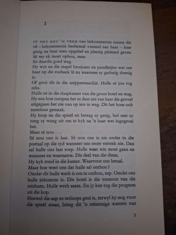 Elsa Joubert - Die wahlerbrug