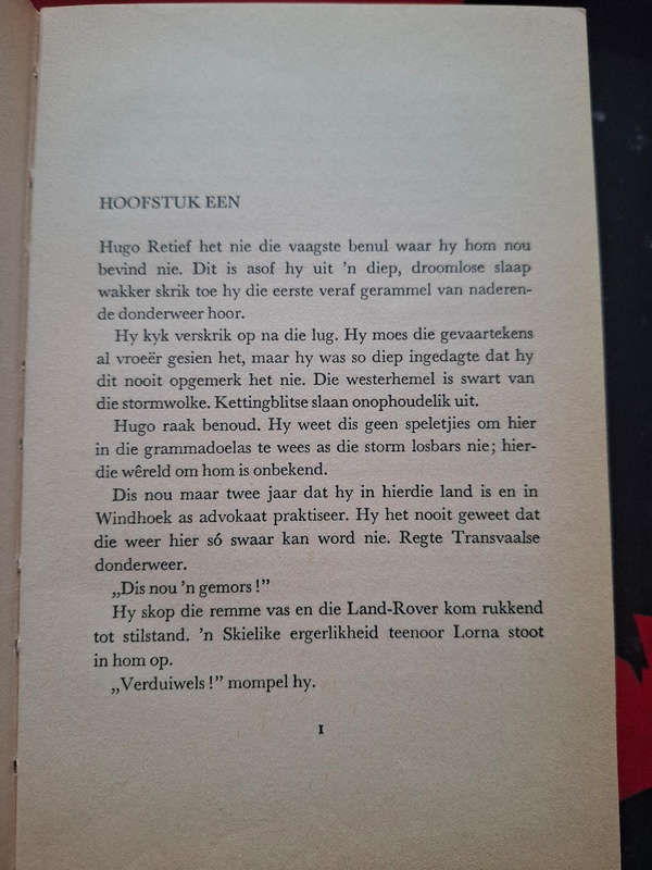 Babsie Steyl - Gesteelde geluk
