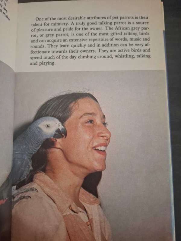 Risa Teitler - Training african grey parrots