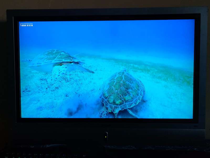 *** BIG Mecer 32' Monitor with HDMI ***
