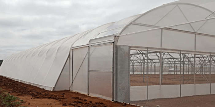Greenhouse Plastic 7.5m x10m