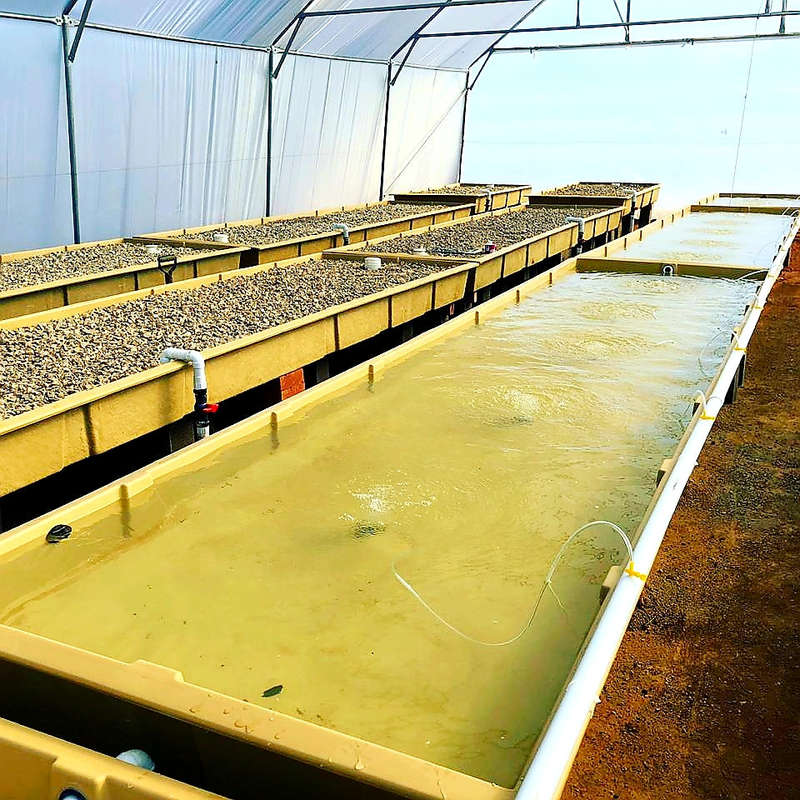 Fiberglass Commercial Plant GrowBed - 2.5m x 1.2m x 0.25m