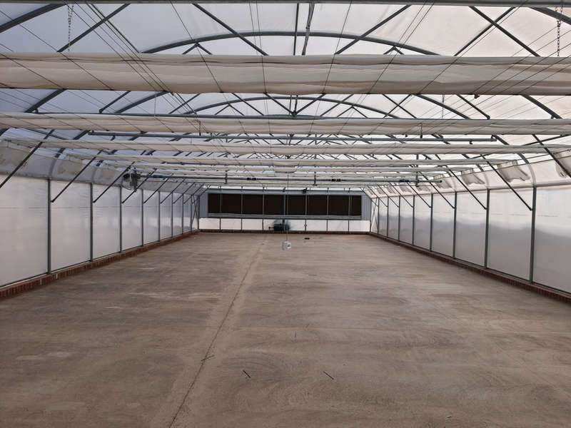 Greenhouse Plastic 7.5m x10m
