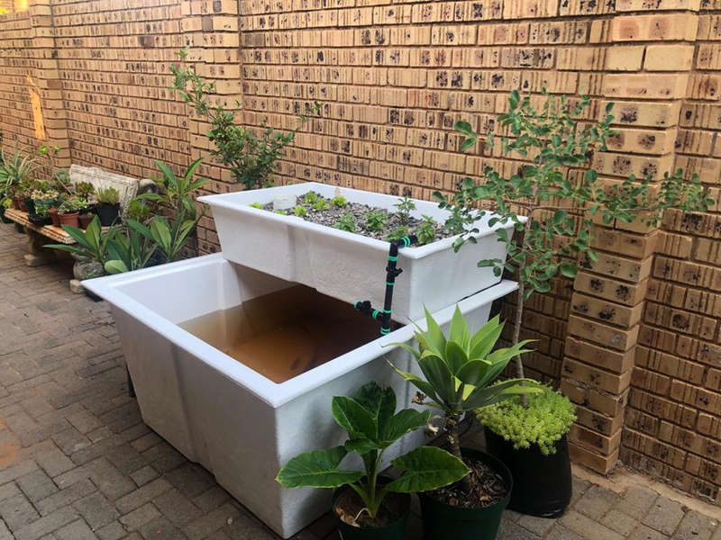 Fiberglass Plant GrowBed - 1.2m x 0.6m x 0.30m