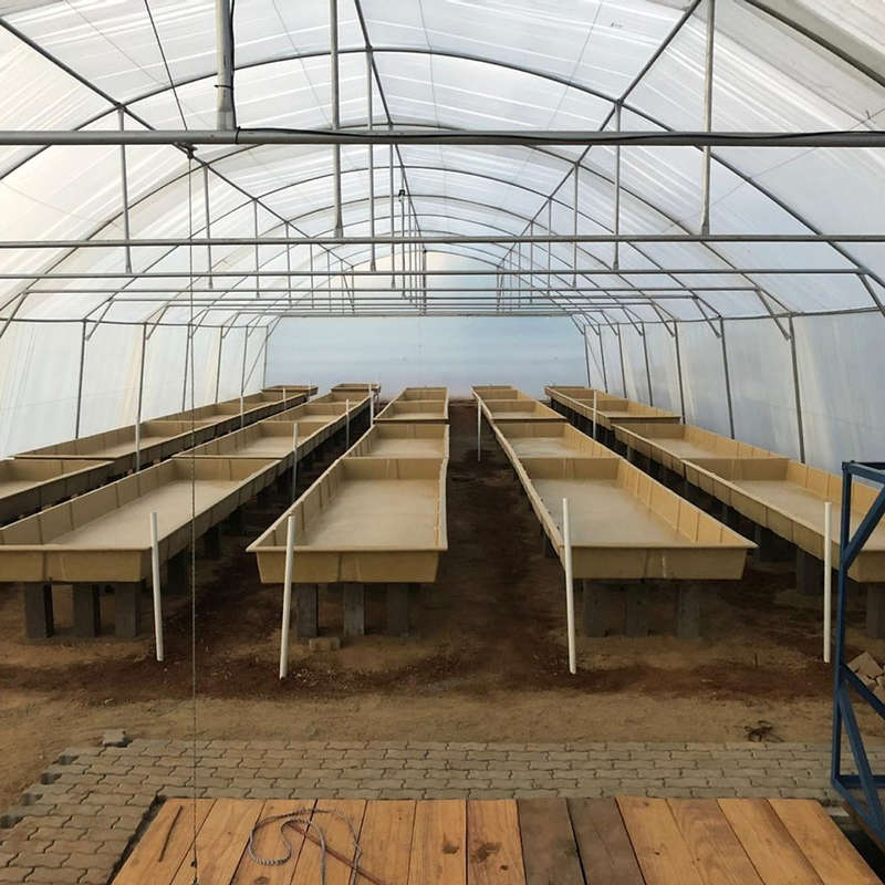 Fiberglass Commercial Plant GrowBed - 2.5m x 1.2m x 0.25m