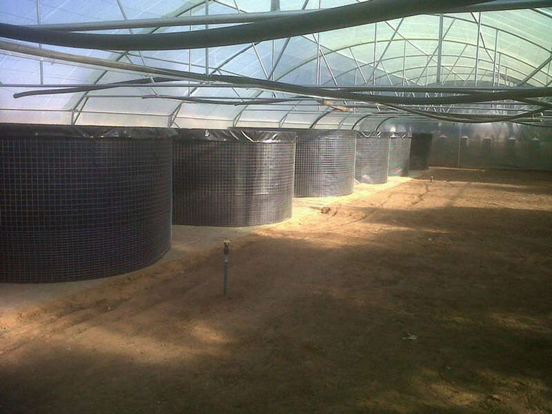 13800 Liter Welded Mesh Reinforced 800g PVC Liner Fish Tank