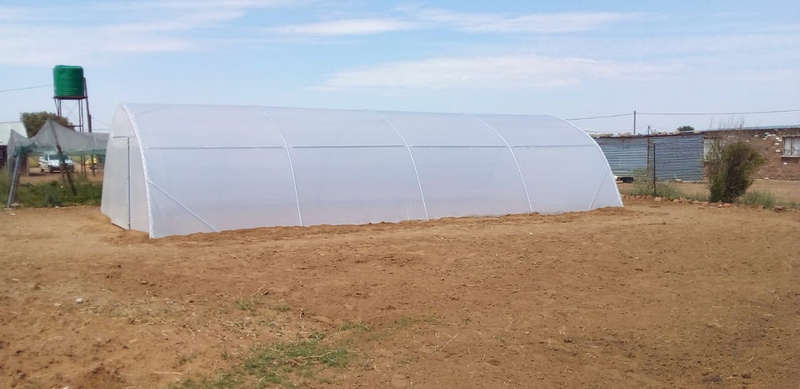 Greenhouse Tunnel 12m x 6m (incl Plastic & Install Gauteng)