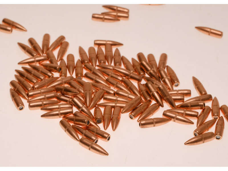 Hornady .22 caliber .224, 62 gr, FMJ, Bullets [100]
