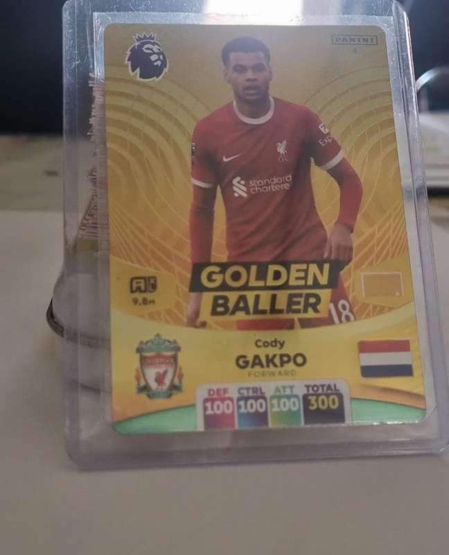 CODY GAKPO - PANINI English Premier League 2023/24 - RARE `GOLDEN BALLER` TRADING CARD 4