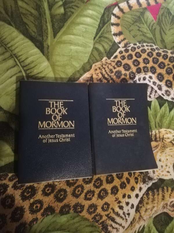 The Book of Mormon Another Testament of Jesus Christ 2pack