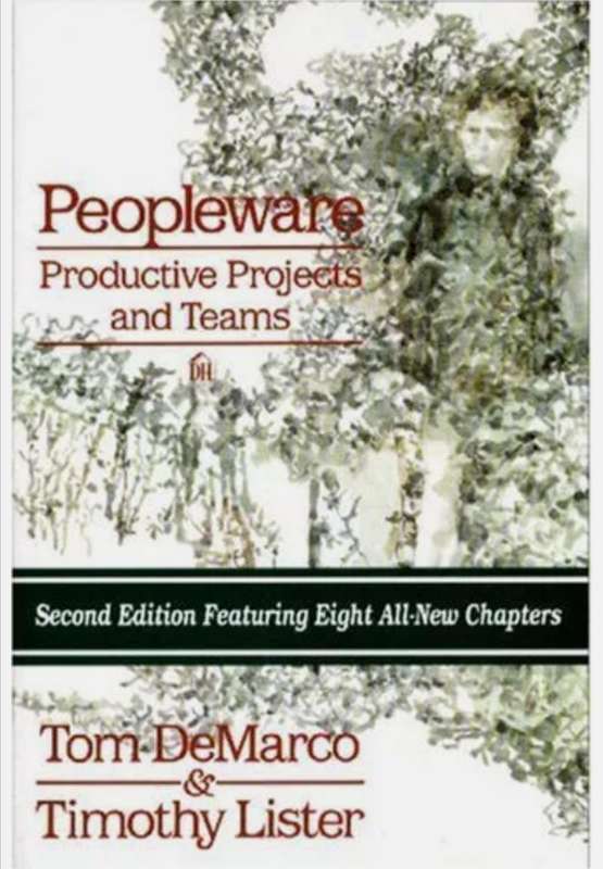 Peopleware: Productive Projects and Teams 2nd edition Paperback