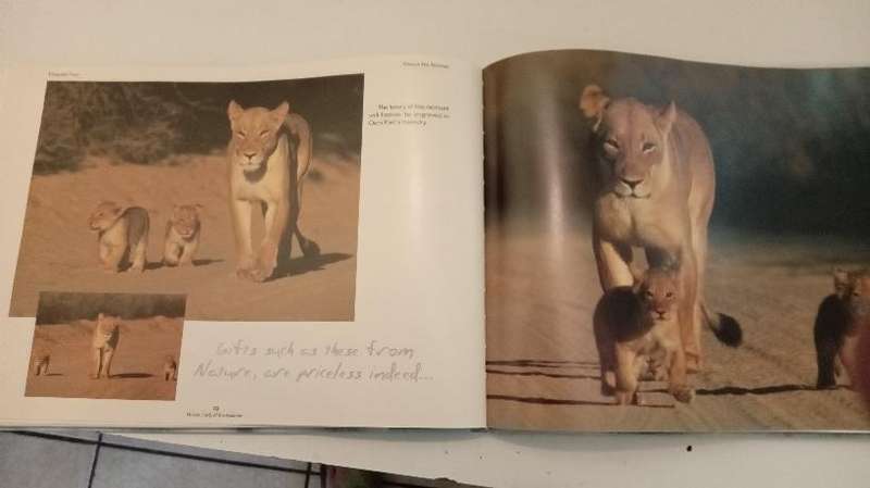 Ousus Lady of the Kalahari