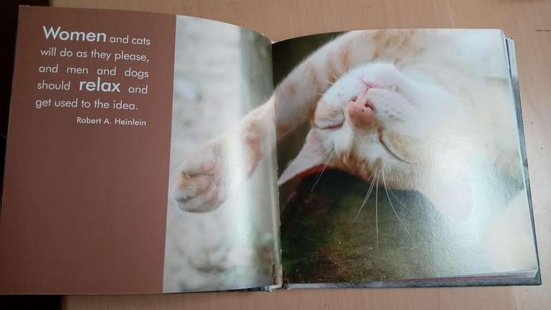 Quotable Cats  by Milly Brown
