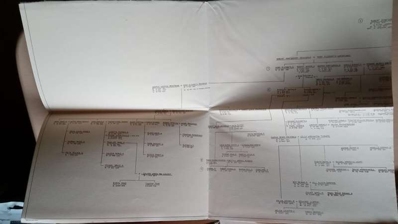 Honour Without Riches - The Story of an Archibald Family By: Dr. Ruth E. Gordon with family tree