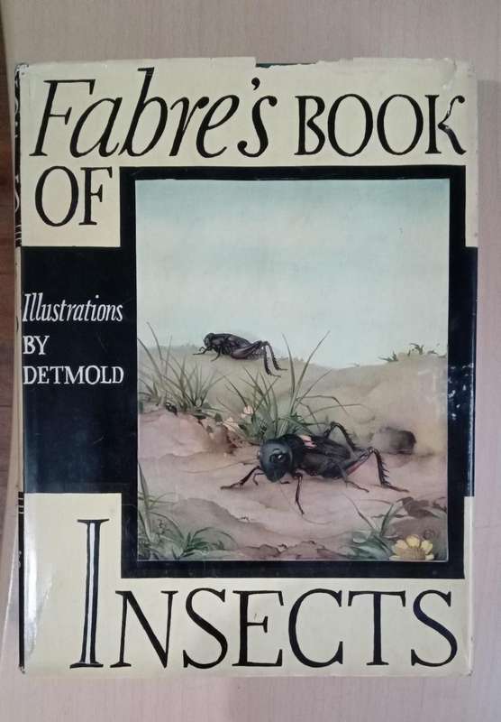 Fabre's Book of Insects 1936 E J Detmold Tipped-In Illustrated Plates