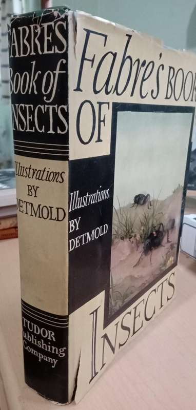 Fabre's Book of Insects 1936 E J Detmold Tipped-In Illustrated Plates