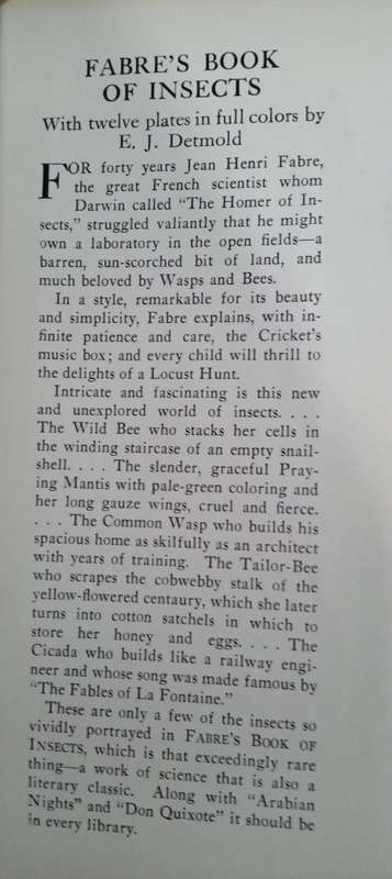 Fabre's Book of Insects 1936 E J Detmold Tipped-In Illustrated Plates