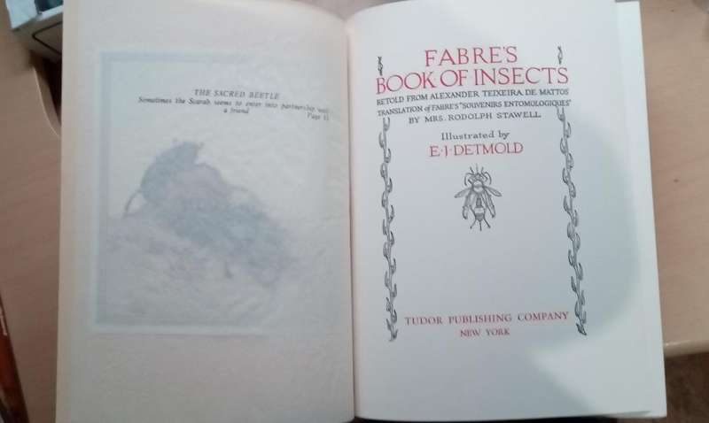 Fabre's Book of Insects 1936 E J Detmold Tipped-In Illustrated Plates