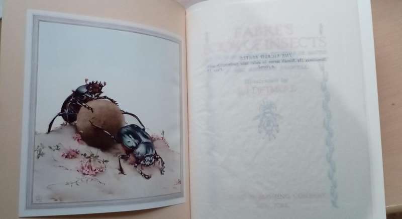 Fabre's Book of Insects 1936 E J Detmold Tipped-In Illustrated Plates