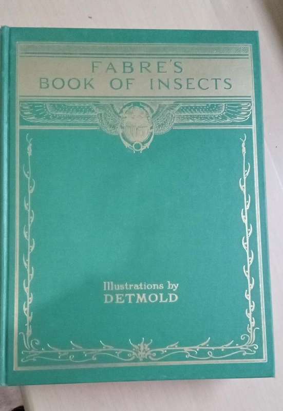 Fabre's Book of Insects 1936 E J Detmold Tipped-In Illustrated Plates