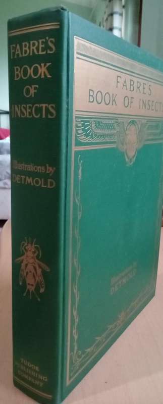 Fabre's Book of Insects 1936 E J Detmold Tipped-In Illustrated Plates