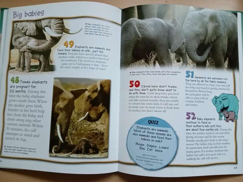 100 Things you should know about Elephants (de la Bedoyere)