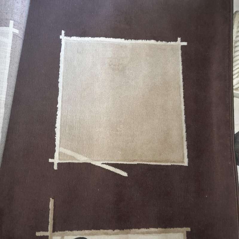 Chocolate Mocca and Brown Carpet - Ideal for Lounge, Dining Room and Living Areas, or Business Area