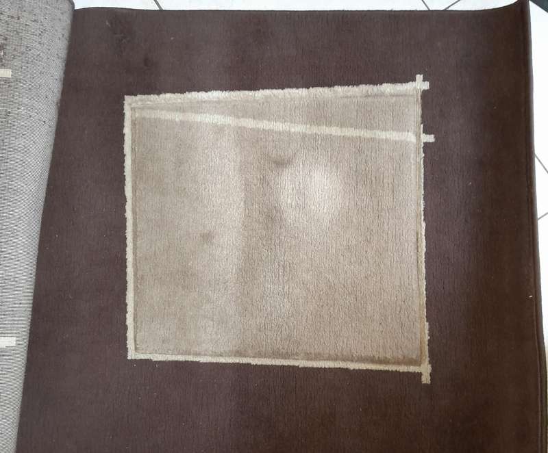 Chocolate Mocca and Brown Carpet - Ideal for Lounge, Dining Room and Living Areas, or Business Area
