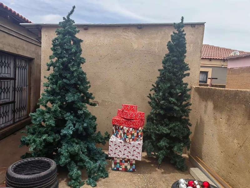 Xmas tree