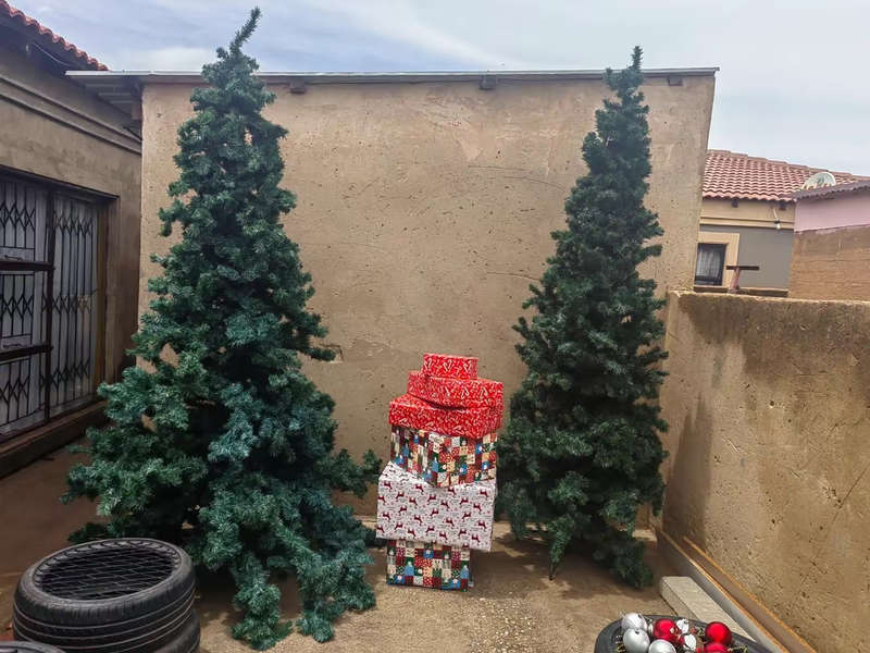 Xmas tree