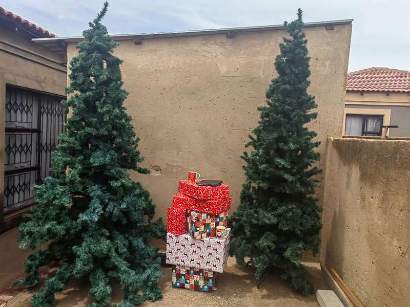 Xmas tree