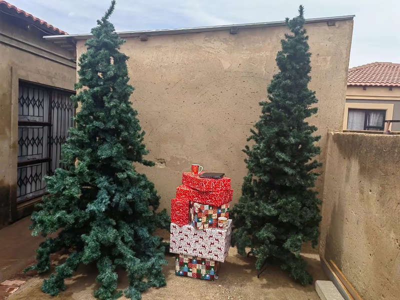 Xmas tree