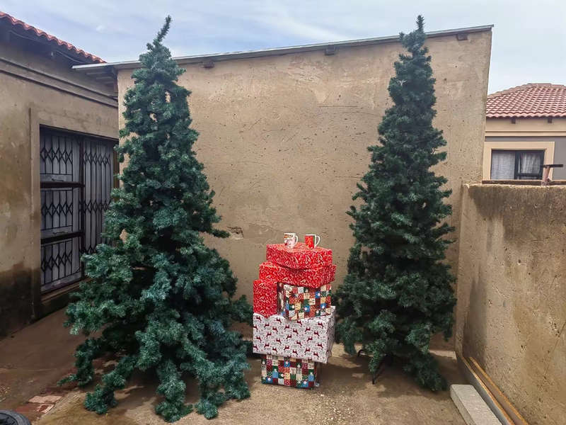 Xmas tree