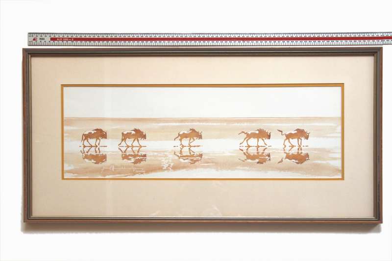 Original Watercolour Painting. by Namibian artist JJ van Ellinckhuijzen