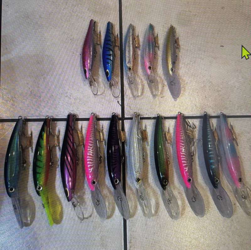Assorted Fishing Lures (Price is for all)
