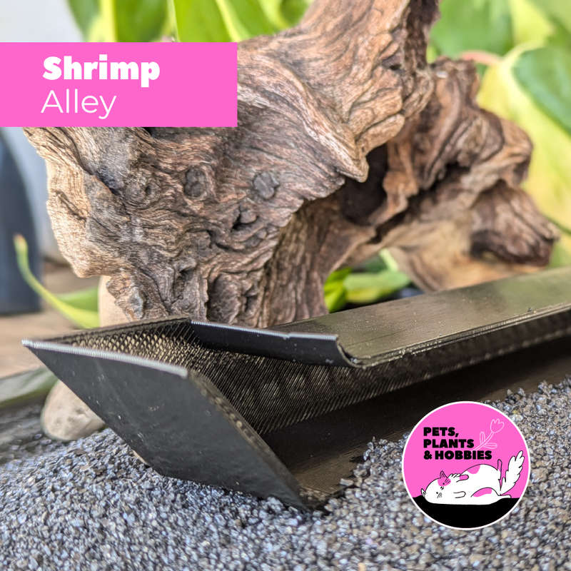 Shrimp Alley