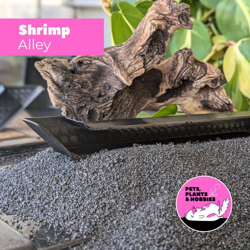 Shrimp Alley