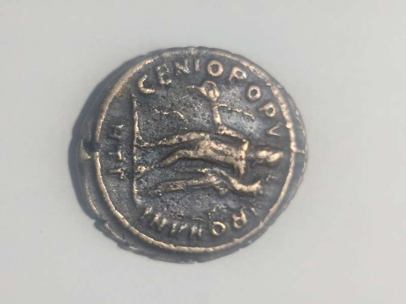 Constantius chlorus as caeser follis bronze coin