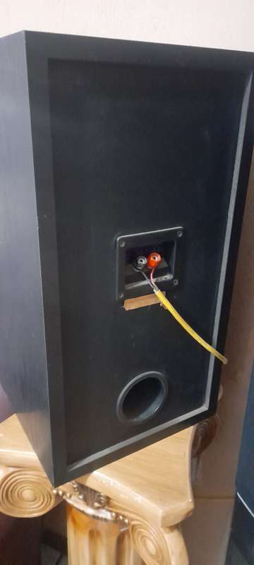 Cerwin Vega Speakers