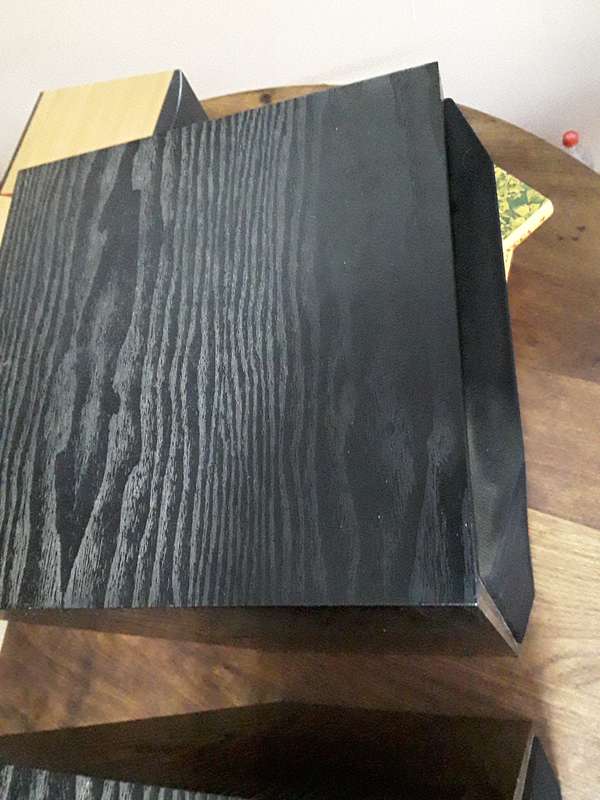 Cerwin Vega Speakers
