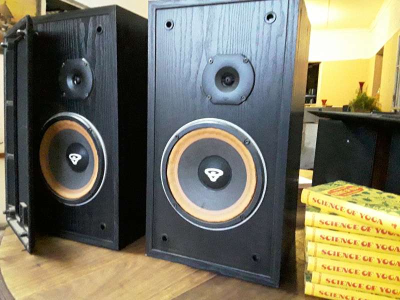 Cerwin Vega Speakers