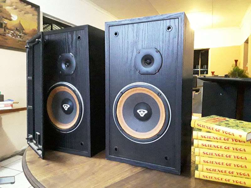 Cerwin Vega Speakers