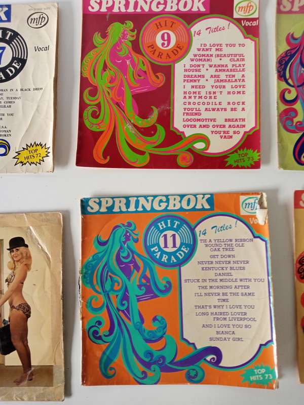 Springbok Radio Hit Songs  22 Vinyl Records Collection