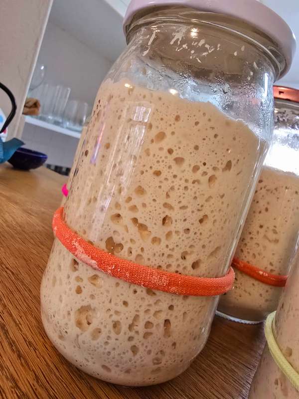SOURDOUGH STARTER (Ready to Use)