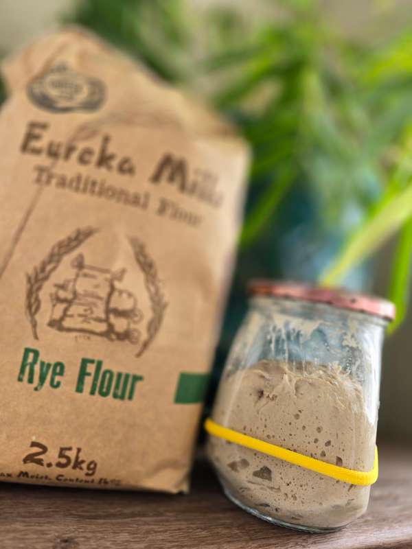 RYE SOURDOUGH STARTER (Ready to Use)