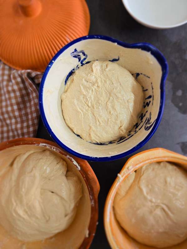 SOURDOUGH STARTER (Ready to Use)