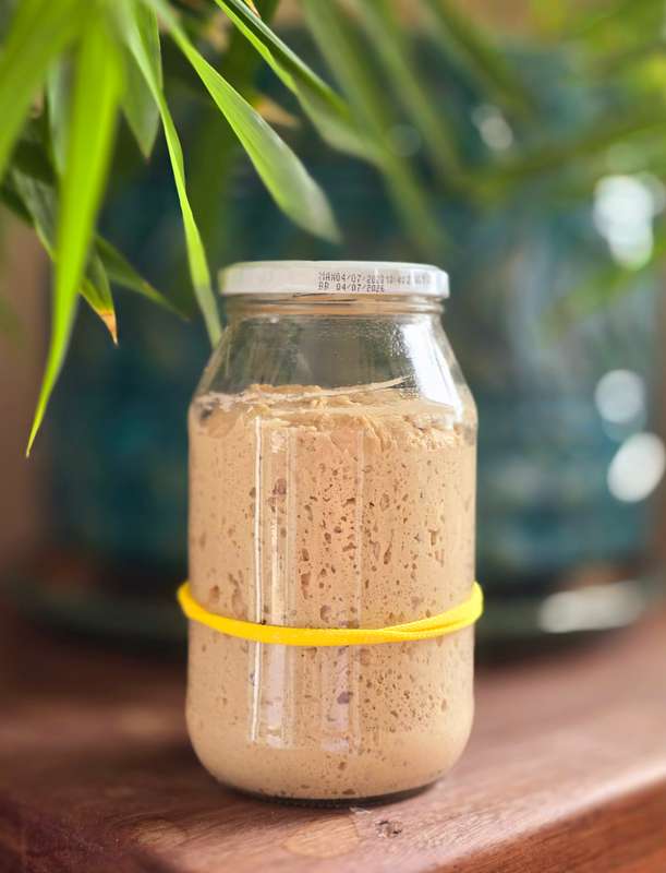 RYE SOURDOUGH STARTER (Ready to Use)