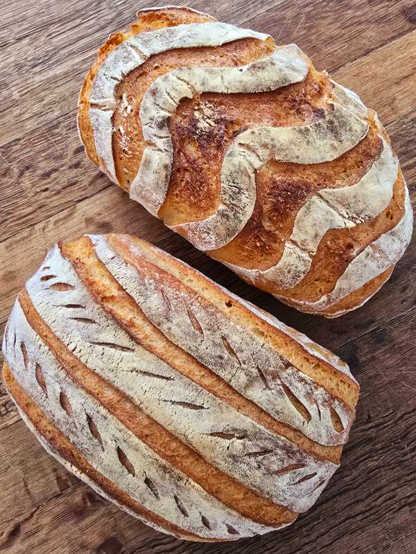 SOURDOUGH STARTER (Ready to Use)